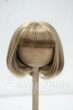 画像1: 7-8inch/ウィッグ Y-26-09-08-232-WT-ZY (1)