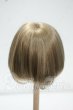 画像2: 7-8inch/ウィッグ Y-26-09-08-232-WT-ZY (2)
