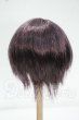 画像2: 8-9inch/ウィッグ Y-26-09-08-173-WT-ZY (2)