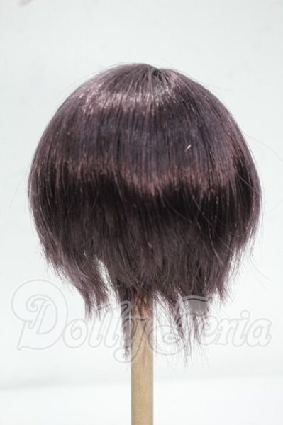 画像2: 8-9inch/ウィッグ Y-26-09-08-173-WT-ZY (2)
