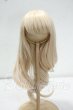 画像1: 8〜9inch/ウィッグ(COLLIE様製) Y-26-09-15-053-WT-ZY (1)