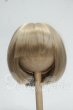 画像1: 8-8.5inch/ウィッグ Y-26-09-15-048-WT-ZY (1)