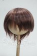 画像1: 9inch/ウィッグ Y-26-09-15-044-WT-ZY (1)