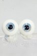 画像1: 16ｍｍ/レジンアイ：SWAN DOLL製 Y-26-10-06-164-WT-ZY (1)