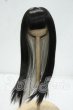 画像1: 8inch/ウィッグ Y-26-10-06-074-WT-ZY (1)