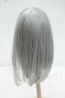 画像2: 6-7inch/ウィッグ Y-26-10-06-055-WT-ZY (2)