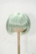 画像1: 9inch/ウィッグ Y-26-09-29-045-WT-ZY (1)
