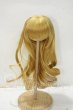 画像1: 8-9inch/ウィッグ Y-26-09-29-044-WT-ZY (1)