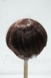 画像2: 8-9inch/ウィッグ Y-26-10-06-256-WT-ZY (2)