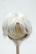 画像1: 8-9inch/ウィッグ Y-26-10-06-263-WT-ZY (1)