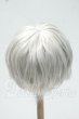 画像2: 8-9inch/ウィッグ Y-26-10-06-263-WT-ZY (2)