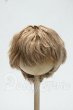 画像1: 8-9inch/ウィッグ Y-26-10-06-252-WT-ZY (1)
