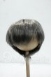 画像1: 8-9inch/ウィッグ Y-26-10-06-254-WT-ZY (1)
