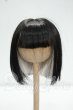 画像1: 7-8inch/ウィッグ Y-26-10-13-222-WA-ZY (1)