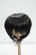 画像1: 7-8inch/ウィッグ Y-26-10-13-215-WA-ZY (1)