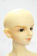 画像3: SD13/LINK(リンク)スタンダードフェア限定 Y-26-10-06-002-WT-ZY (3)
