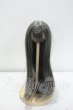画像1: 6-7inch/Tiny Fox:ウーパールーパーナース ルーシー デフォルトウィッグ Y-26-10-20-037-WA-ZY (1)