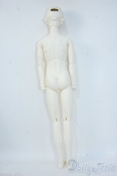 画像7: SDGｒ男の子/ウィリアムズ〜The Diligent Scholar〜 Y-25-09-03-297-TN-ZY (7)