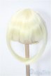 画像1: 8-9inchウィッグ/リングヘアー Y-25-01-08-226-NY-ZY (1)