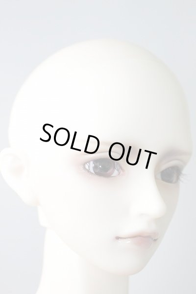 画像3: SDGrB/F-36フルチョイス U-24-02-07-213-NY-ZU (3)