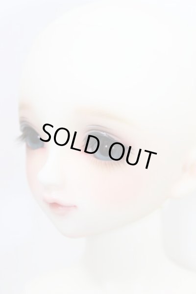 画像3: SDG/F-60：フルチョイス（ココタイプ） A-23-10-11-101-NY-ZA (3)