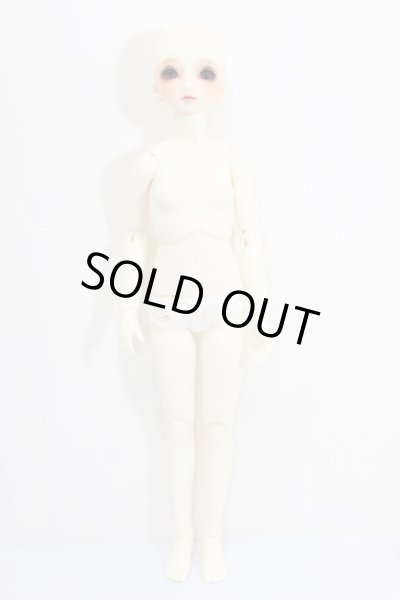 画像4: SDG/F-60：フルチョイス（ココタイプ） A-23-10-11-101-NY-ZA (4)