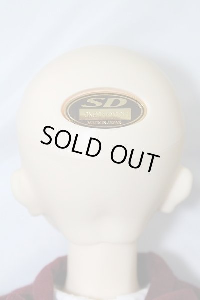 画像7: SD女の子/ワンオフモデル:F-70・momo様メイク U-24-03-06-217-KN-ZU (7)