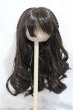 画像1: 8-9inchウィッグ/インチ　BJD　MJD　ドール用 A-25-01-15-306-NY-ZA (1)
