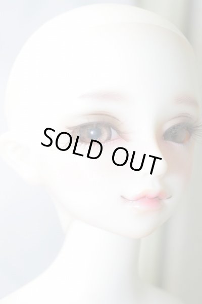 画像3: SDM/F-35：コーディネートモデル U-24-02-07-216-NY-ZU (3)