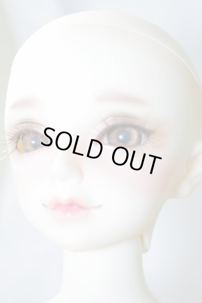 画像4: SDM/F-35：コーディネートモデル U-24-02-07-216-NY-ZU (4)