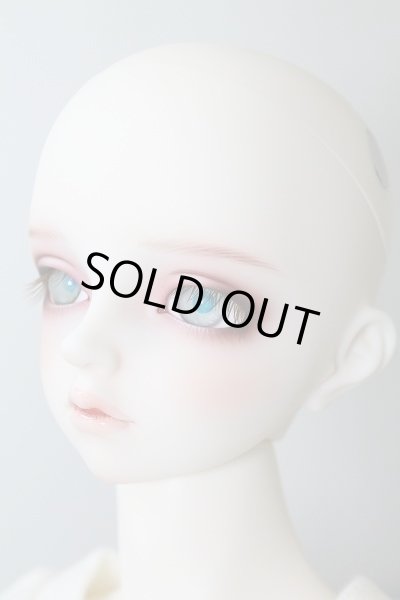 画像3: SD17B/F-90：フルチョイス U-24-02-14-219-NY-ZU (3)