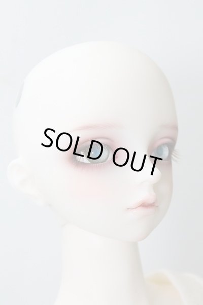 画像4: SD17B/F-90：フルチョイス U-24-02-14-219-NY-ZU (4)