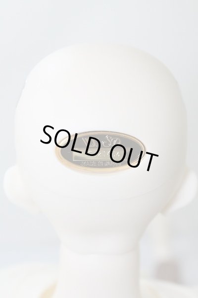 画像5: SD17B/F-90：フルチョイス U-24-02-14-219-NY-ZU (5)