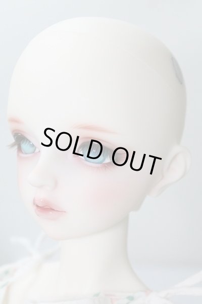 画像3: SDGrG/F-90:フルチョイス U-24-02-14-218-NY-ZU (3)