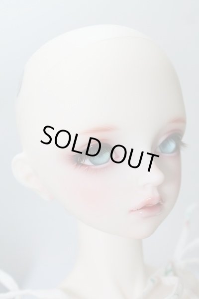 画像4: SDGrG/F-90:フルチョイス U-24-02-14-218-NY-ZU (4)