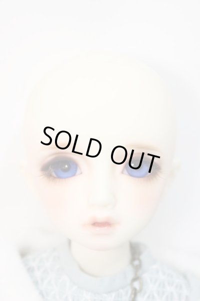 SDM/F-20：コーディネートモデル A-24-02-21-151-NY-ZA - DOLL UP!