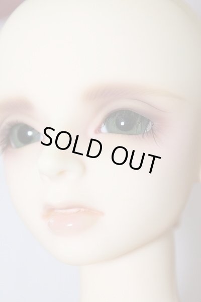 画像6: SDB/ミシェル：夏の夜の幻 U-25-04-08-218-NY-ZU (6)