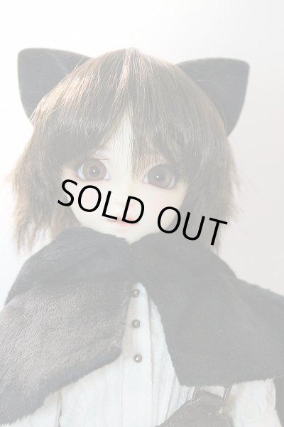 画像2: SDCute/黒猫ルネ (Rene the Black Cat ) U-24-03-13-213-NY-ZU (2)