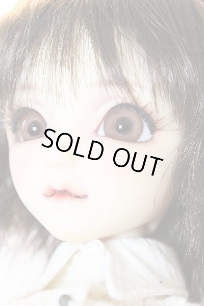 画像4: SDCute/黒猫ルネ (Rene the Black Cat ) U-24-03-13-213-NY-ZU (4)