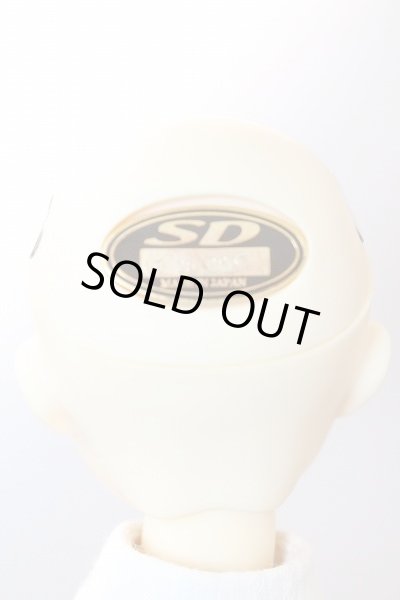 画像5: SDCute/黒猫ルネ (Rene the Black Cat ) U-24-03-13-213-NY-ZU (5)