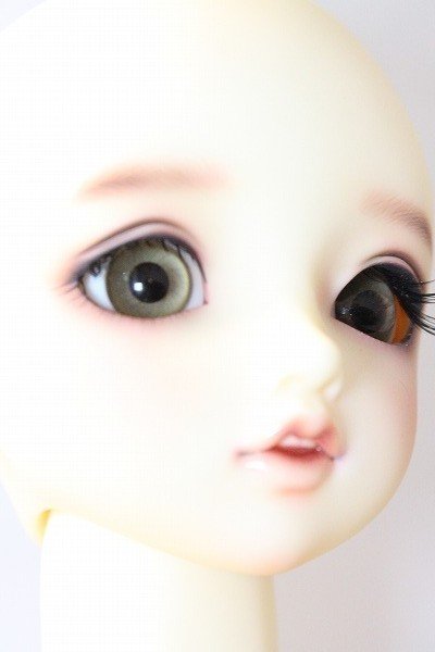 画像3: SD/リーゼロッテ the Best of the BESTs ver A-24-03-13-217-NY-ZA (3)