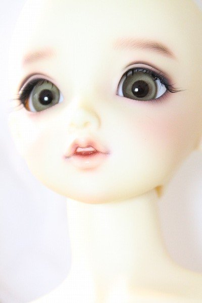 画像4: SD/リーゼロッテ the Best of the BESTs ver A-24-03-13-217-NY-ZA (4)