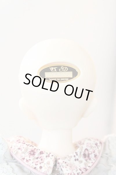 画像4: SDMG/F-62:コーディネートモデル U-24-03-13-212-NY-ZU (4)