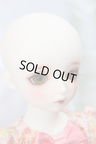 画像3: SDMGIRL/コーディネイトモデルF-56 A-24-03-06-243-KN-ZA (3)