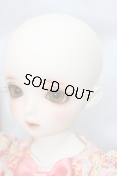 画像4: SDMGIRL/コーディネイトモデルF-56 A-24-03-06-243-KN-ZA (4)