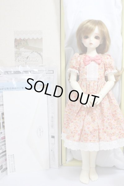 画像6: SDMGIRL/コーディネイトモデルF-56 A-24-03-06-243-KN-ZA (6)