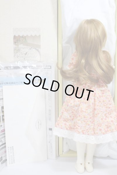 画像7: SDMGIRL/コーディネイトモデルF-56 A-24-03-06-243-KN-ZA (7)