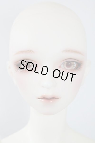 画像5: SDGｒB/F-88　フルチョイス U-24-04-03-216-NY-ZU (5)