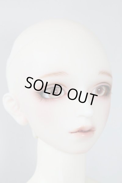 画像6: SDGｒB/F-88　フルチョイス U-24-04-03-216-NY-ZU (6)