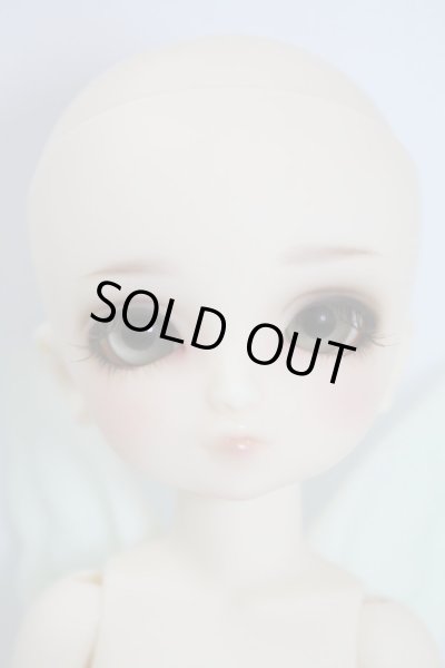 画像7: SD/精天使 U-24-04-03-212-NY-ZU (7)